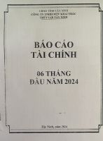 Báo cáo tài chính 6 tháng đầu năm 2024