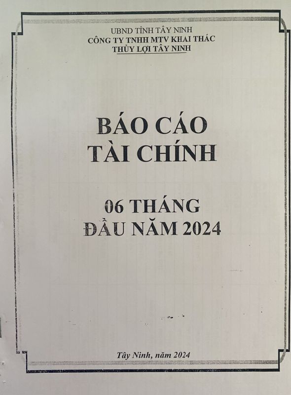 Báo cáo tài chính 6 tháng đầu năm 2024