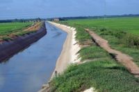 Thông báo cắt giảm nước chuyển vụ Hè thu năm 2026 sang vụ Mùa năm 2026 và thời gian mở nước vụ Mùa năm 2026 trên các hệ thống thuỷ lợi